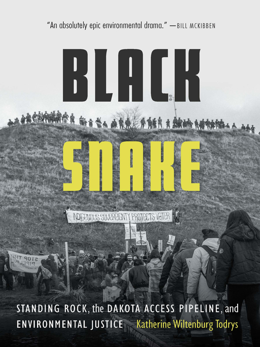 Title details for Black Snake by Katherine Wiltenburg Todrys - Available